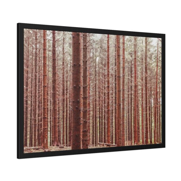 93854-705.jpg Forest Trees in Autumn Fremed Poster