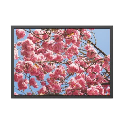 Japanese Cherry Tree Framed Poster