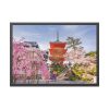 93855-269.jpg Cherry Blossom in Tokio Framed Poster