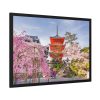 93855-270.jpg Cherry Blossom in Tokio Framed Poster