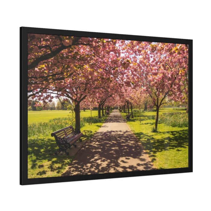 Park with Pink Blossom Trees Framed Poster - Image 6