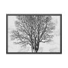 Vintage Tree Framed Poster