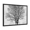 Vintage Tree Framed Poster