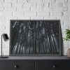 93855-352.jpg Cold Forests Trees Framed Poster
