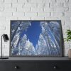 93855-360.jpg Snow Ponderosa Pines Trees Framed Poster