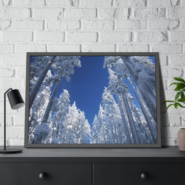 93855-360.jpg Snow Ponderosa Pines Trees Framed Poster