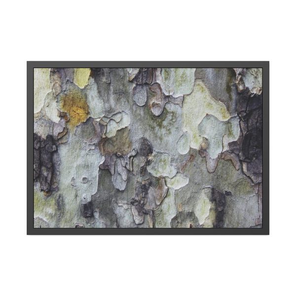 93855-421.jpg Tree Bark Texture Framed Poster