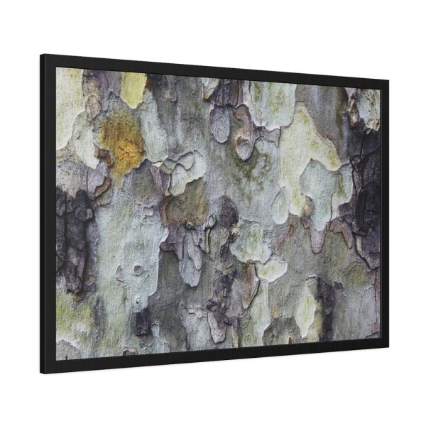 93855-422.jpg Tree Bark Texture Framed Poster