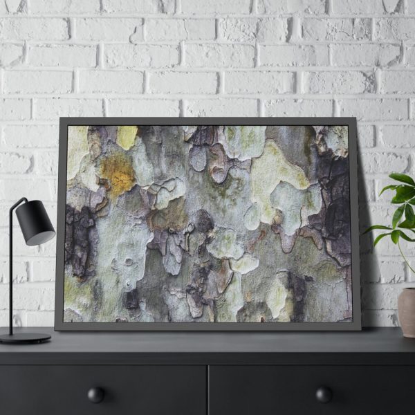 93855-424.jpg Tree Bark Texture Framed Poster