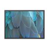 Parrot Feathers Texture Framed Poster