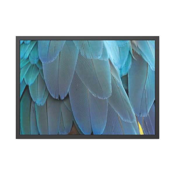 Parrot Feathers Texture Framed Poster