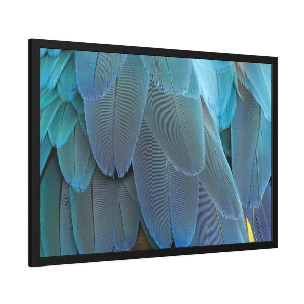 Parrot Feathers Texture Framed Poster
