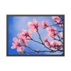 93855-481.jpg Spring Tree Framed Poster