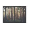 93855-637.jpg Thicket Pine Trees Framed Poster