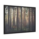 Thicket Pine Trees Framed Poster - Image 6