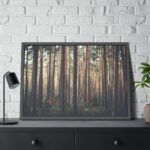 Thicket Pine Trees Framed Poster - Image 8