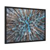 93855-659.jpg Trees Upward Framed Poster