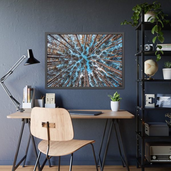 93855-660.jpg Trees Upward Framed Poster