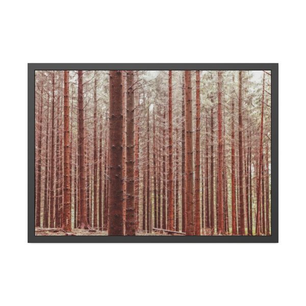 93855-698.jpg Forest Trees in Autumn Fremed Poster