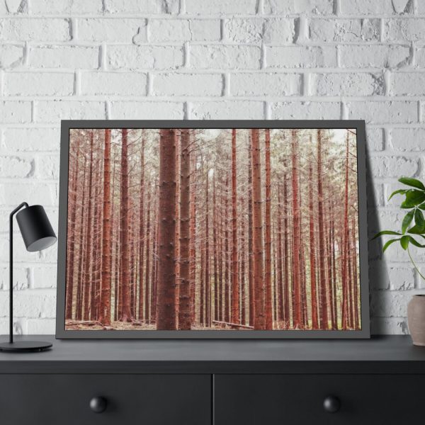93855-701.jpg Forest Trees in Autumn Fremed Poster