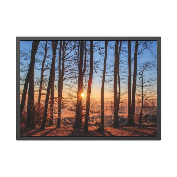 93855-702.jpg Sun and Trees Fremed Poster