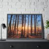 93855-705.jpg Sun and Trees Fremed Poster