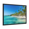 93855-711.jpg Palm Trees On The Beach Framed Poster