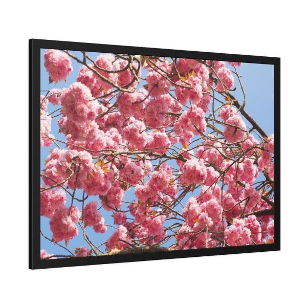 93855-723.jpg Japanese Cherry Tree Framed Poster