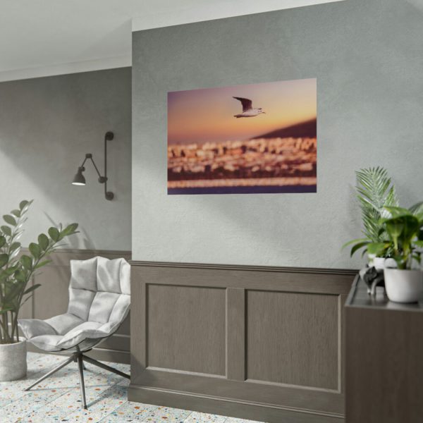 101875-124.jpg Bird Flying over Turkey Poster