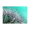 101875-135.jpg Water Droplets Dandelion Seeds Poster