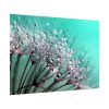 101875-137.jpg Water Droplets Dandelion Seeds Poster