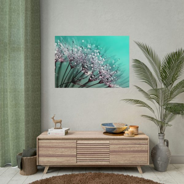 101875-138.jpg Water Droplets Dandelion Seeds Poster