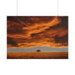 Orange Scenery With Beautiful Tree Poster - Image 12