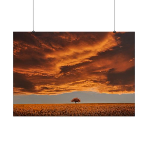 Orange Scenery With Beautiful Tree Poster