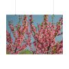 Peach Blossoms Flowering Tree Poster