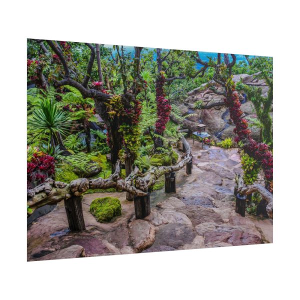 Botanical Garden Trees Poster