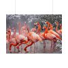 American Flamingo by Mehgan Murphy Poster