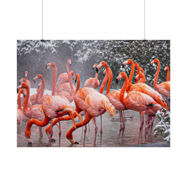 American Flamingo by Mehgan Murphy Poster