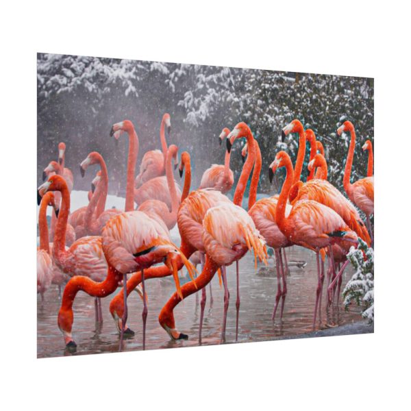 American Flamingo by Mehgan Murphy Poster