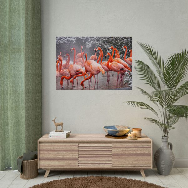 American Flamingo by Mehgan Murphy Poster