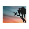 Hummingbird Poster
