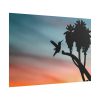 Hummingbird Poster