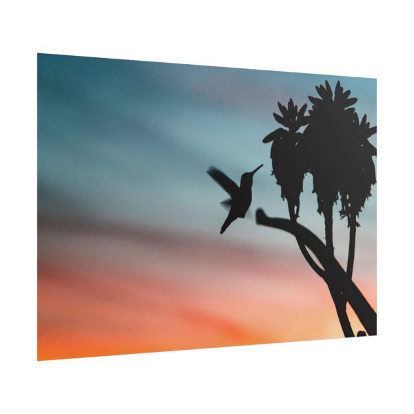 Hummingbird Poster