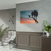 Hummingbird Poster