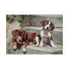 101875-220.jpg Dogs Puppies Vintage Old Poster