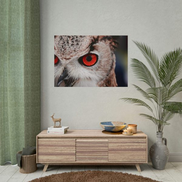 101875-248.jpg An Owl With Red Eyes Poster