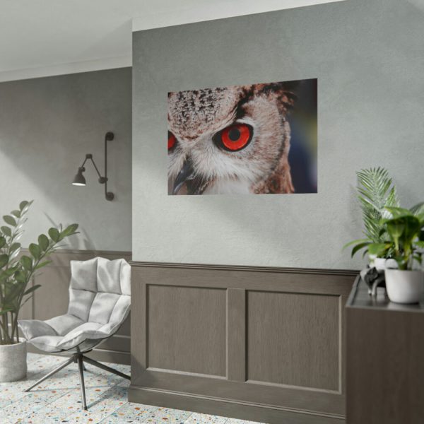 101875-249.jpg An Owl With Red Eyes Poster