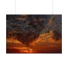 101875-251.jpg Flamingos Swarm Birds Nature Poster