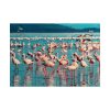 101875-280.jpg Pink Flamingo Lake Poster