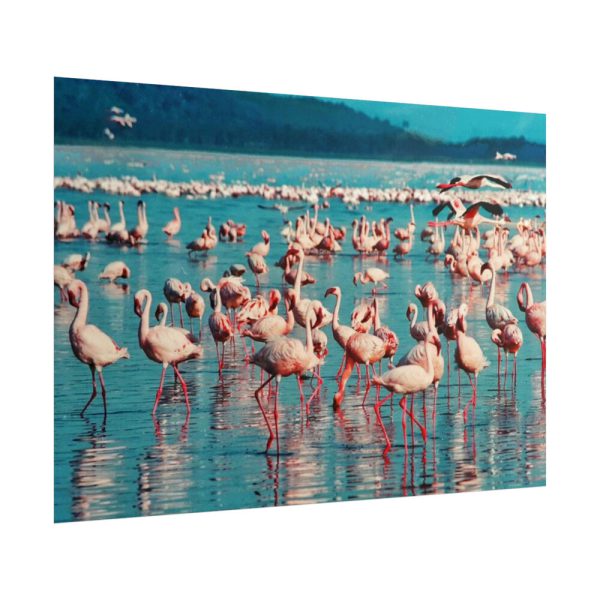 101875-282.jpg Pink Flamingo Lake Poster